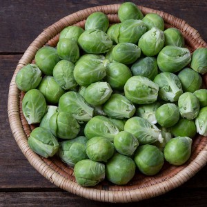 Fall Brussels Sprouts - Nautic - F1