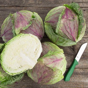 Fall Cabbage - Deadon - F1
