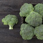 Broccoli - Belstar - F1
