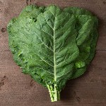 Collard Greens - Champion - OP