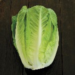 Lettuce Romaine - Green Towers - OP