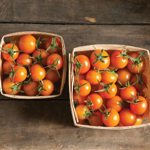 Tomato - Sungold - F1