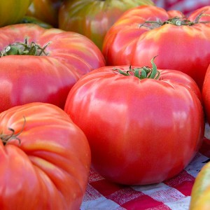 Tomato - Brandywine - Heirloom