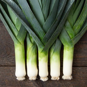 Leeks - Tadorna - OP