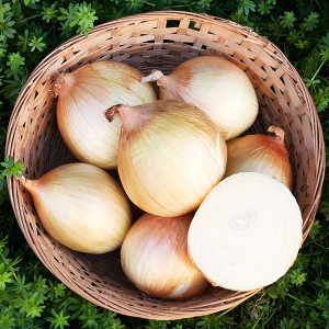 Onions - Walla Walla - OP