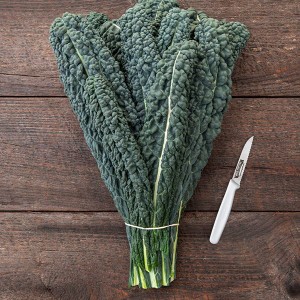 Kale - Lacinato - OP