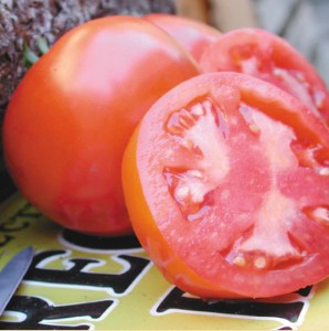 Tomato - Oregon Spring - OP