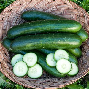 Cucumber - Green Fingers - OP