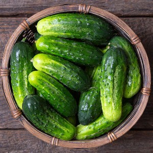 Cucumber - H-19 Little Leaf - OP