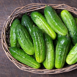 Cucumber - National Pickling - OP