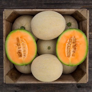 Melon - True Love - F1
