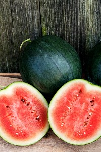 Watermelon - Sugar Baby - OP