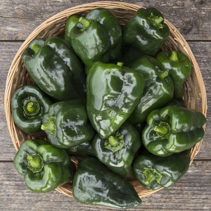 Pepper - Ancho Poblano - OP