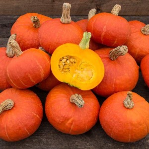 Winter Squash - Sunshine - F1