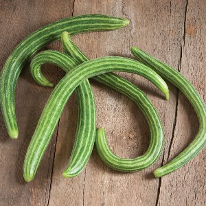 Cucumber - Striped Armenian - OP