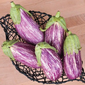 Eggplant - Listada de Gandia - OP